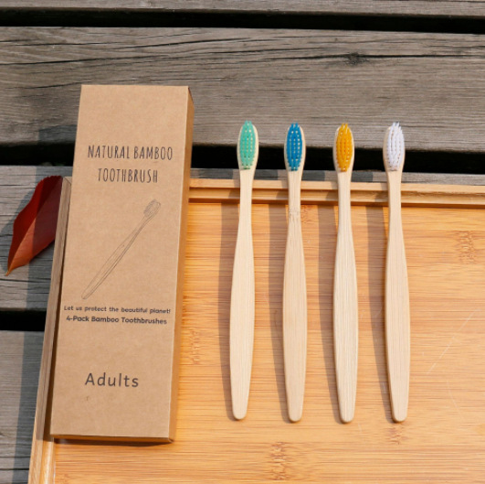 10-Pack Disposable Bamboo Toothbrush Set with Individual Packaging