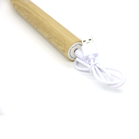 Children's bamboo electric toothbrush with 3 modes and replaceable bamboo head