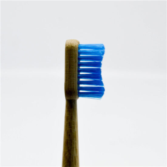 Portable bamboo-inspired toothbrush with tapered bamboo joint handle for hotel and home use
