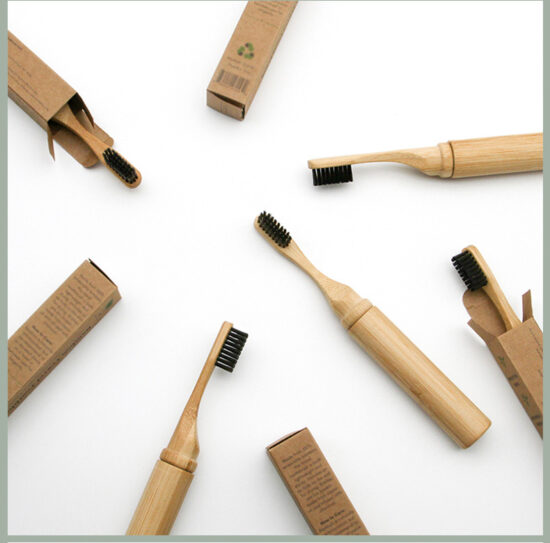 Portable Bamboo Toothbrush with Bamboo Tube Travel Case and Soft Charcoal Bristles