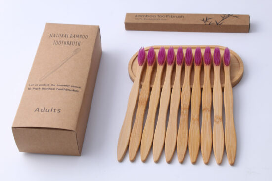 10-Pack Soft Bristle Bamboo Toothbrushes for Adults – Eco-Friendly Boxed Set with Custom Label Option