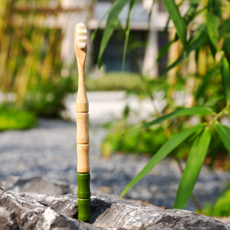Bamboo Toothbrush with Round Handle and 10,000 Nylon Bristles for Daily Oral Care